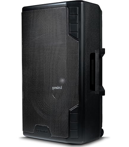 Amazon.com: Gemini Sound LRX-448 Professional Bluetooth PA System